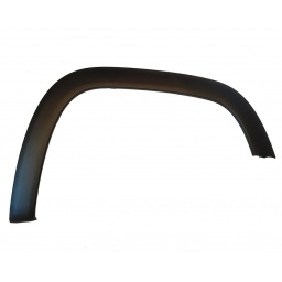 FENDER GUARDABARRO DELT. DER.