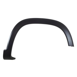 FENDER GUARDABARRO DELT. DER.